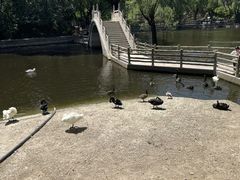 -石家庄市动物园