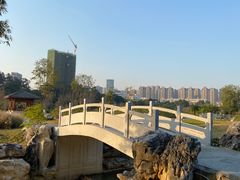 -广西壮族自治区药用植物园