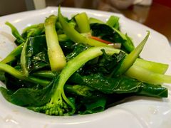 白灼宁夏芥兰-日昌餐馆(亦庄店)