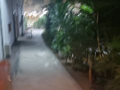 -红栌温泉山庄生态美食餐厅