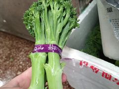 -岳各庄批发市场(西四环中路店)