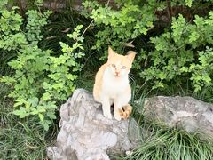 -相门城墙文化休闲景区