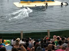 -秦皇岛乐岛海洋王国