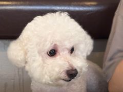 -ZARA(成都远洋太古里店)