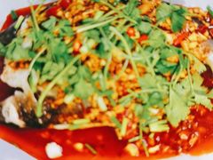 -黑猫馋纸包鱼(阳光店)