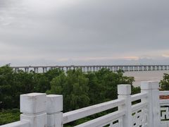 -宝安西湾红树林湿地公园