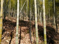 景点-众神白水涧景区