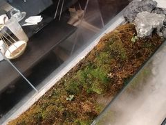 -赠李白·如诗的川味(余杭万达广场店)