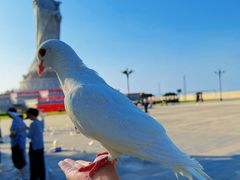 -天津妈祖文化园