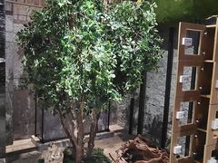 -青水瓦台汤泉(未央店)