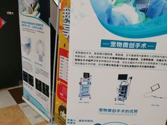 -奈斯宠物医院·核磁CT·异宠专科·内镜(中南店)