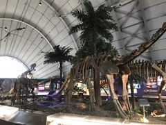 -辽宁古生物博物馆
