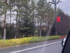 -汤旺河林海奇石景区