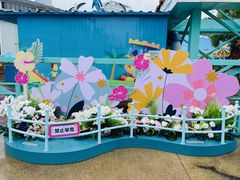 -海合安成都极地海洋公园