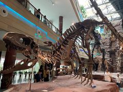 -安徽省地质博物馆