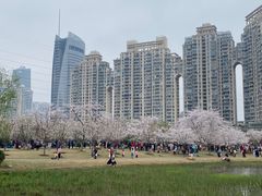 -西北湖绿化广场
