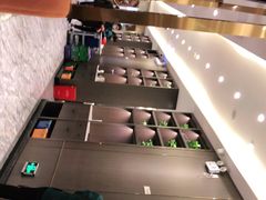 -刘胖子家常菜·蹄花焖藕(兴业店)