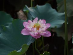 -沐仙湖湿地公园