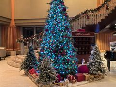 -上海明天广场JW万豪酒店