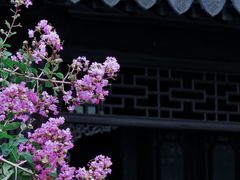-莫愁湖公园