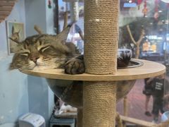 -牛喵喵铜锅牛肉馆