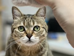 -猫员外精酿啤酒馆(国速荟店)