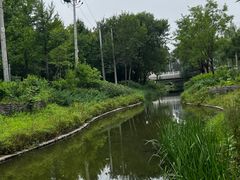 -北坞公园