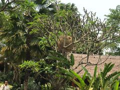 大堂-乌托邦酒吧和餐厅