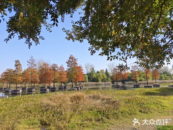 合肥生态公园图片