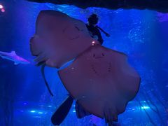 -沈阳海洋探索中心