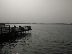 -鹅湖玫瑰文化园