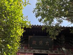 -洛阳白马寺
