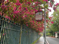 -东莞植物园