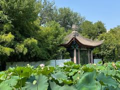 -莲湖公园