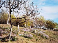 -绿堤公园