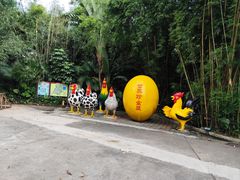 -深圳野生动物园