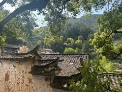 -杨家堂村