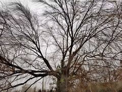 -嬉子湖生态旅游区