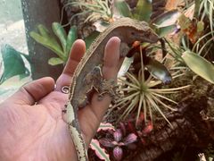 -Rabbit Cafe私房西餐甜点咖啡(栖霞路店)