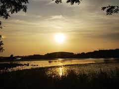 -贡湖湾湿地公园