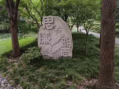 -陈家山荷花公园