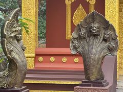 -西双版纳勐泐文化旅游区