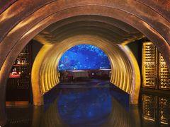 -迪拜帆船酒店海底餐厅