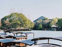 -乌镇西栅景区