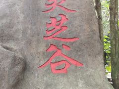 -呀诺达热带雨林