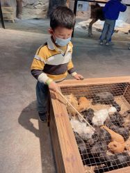 -酷嗒动物文化乐园(cutezoo西溪乐天城店)