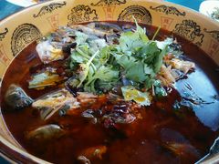 -代木儿回锅肉