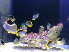 -成都浩海立方海洋公园