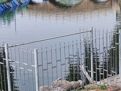 -什刹海