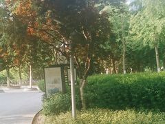 -天鹅湖体育公园